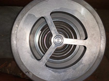 DFT 6″-600# Spring Check Valve Unused