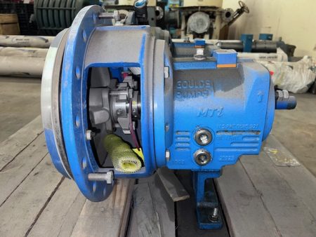 13″ Goulds 3196 MTi Back Pullout