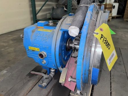 13″ Goulds 3196 MTi Back Pullout